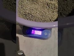 PE300 Déshydrateur plastique Masterbatch Polyéthylène support de moulage par injection