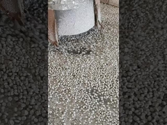 OEM ODM Masterbatch pour le moulage par soufflage pour l'industrie des polymères